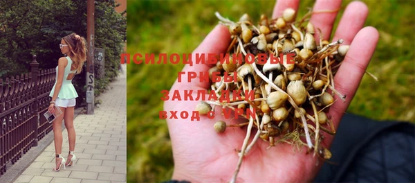 первитин Киреевск