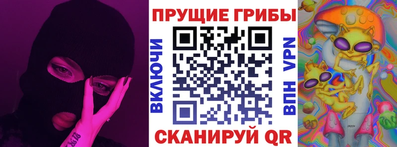 Купить закладки  Вольск  Галлюциногенные грибы MAGIC MUSHROOMS 