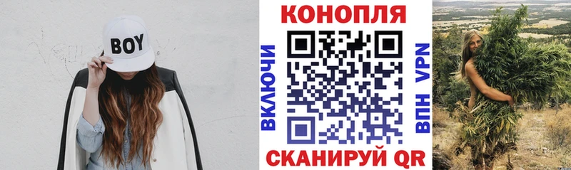 Купить Вольск Шишки марихуана OG Kush